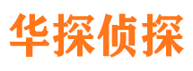 安岳市私家侦探